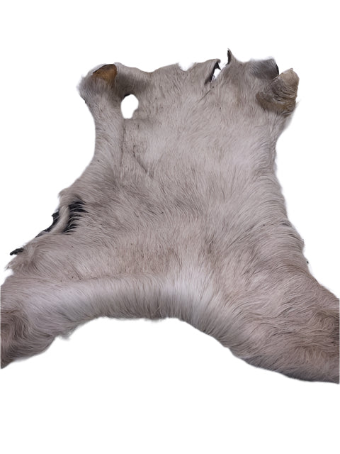 Rinderkopfhautplatten mit Fell
