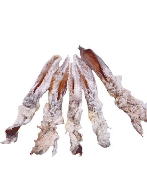 Kaninchenohren mit Fell