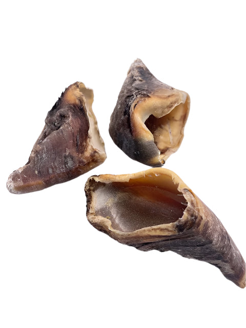 Cattle hooves