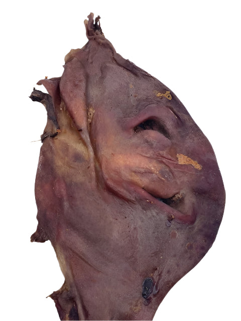 Pferdemaske